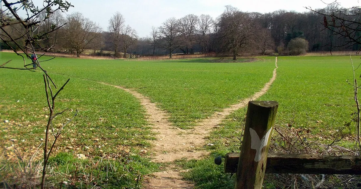 Chemin qui se sépare en deux dans un pré