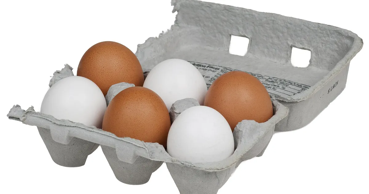 Boîte d'œufs en carton